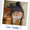 <SAMSUNG DIGITAL CAMERA>