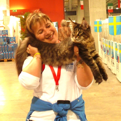 Allevamento Surya Maine Coon - Vaprio d'Adda (MI)